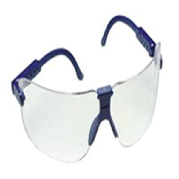 SAFETY GLASSES,FECTOIDS,FRAME,CLEAR LENS - Clear Lens